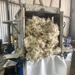 Quality shearing